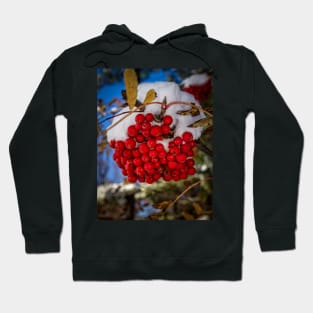 Winter Berries 2 Hoodie